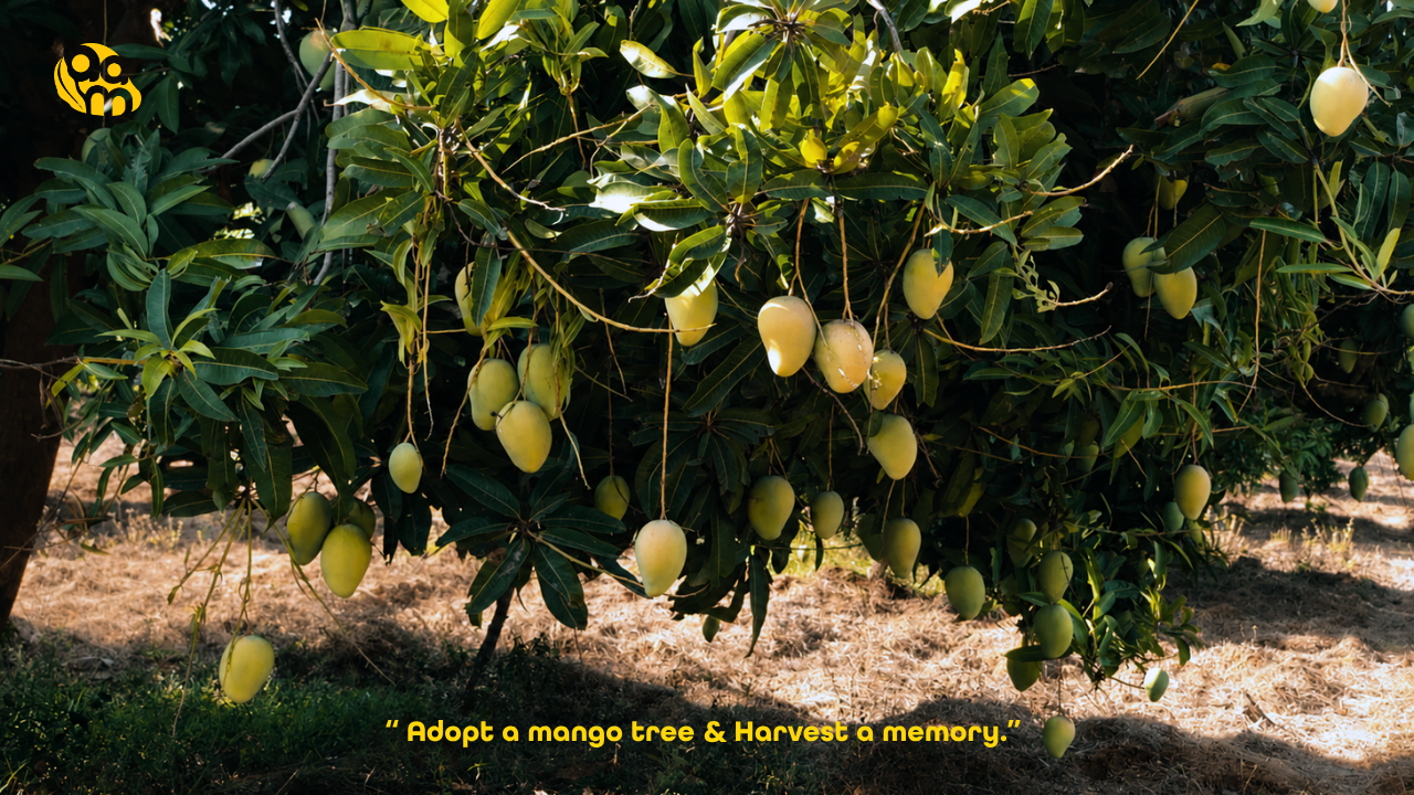 AAM organic brand tagline — Plant a connection. Harvest a memory.